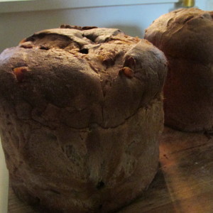 Two traditional panettone, perfect for French Toast.
